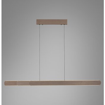 Paul Neuhaus Verlichting Round Hanglamp LED Bruin, 2-lichts