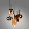 Paul Neuhaus Verlichting Irides Hanglamp LED Bruin, 5-lichts