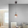 Paul Neuhaus Q-Serie Q-Kon Hanglamp LED Bruin, 1-licht, Afstandsbediening
