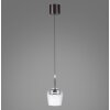 Paul Neuhaus Q-Serie Q-Kon Hanglamp LED Bruin, 1-licht, Afstandsbediening