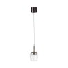 Paul Neuhaus Q-Serie Q-Kon Hanglamp LED Bruin, 1-licht, Afstandsbediening