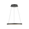 Paul Neuhaus Verlichting Hoop Hanglamp LED Zwart, 1-licht