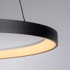 Paul Neuhaus Verlichting Hoop Hanglamp LED Zwart, 1-licht