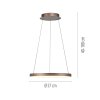 Paul Neuhaus Verlichting Hoop Hanglamp LED Bruin, 1-licht