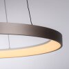Paul Neuhaus Verlichting Hoop Hanglamp LED Bruin, 1-licht