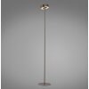 Paul Neuhaus Q-Serie Q-Rotate Staande lamp LED Bruin, 1-licht, Afstandsbediening
