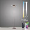 Paul Neuhaus Q-Serie Q-Rotate Staande lamp LED Bruin, 1-licht, Afstandsbediening