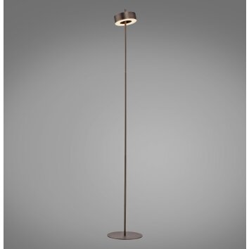 Paul Neuhaus Q-Serie Q-Rotate Staande lamp LED Bruin, 1-licht, Afstandsbediening