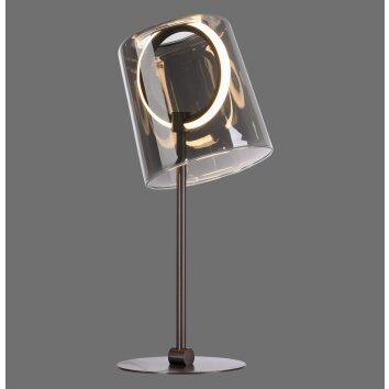 Paul Neuhaus Verlichting Zula Tafellamp LED Zwart, 1-licht