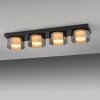 Paul Neuhaus Verlichting Rika Plafondlamp LED Zwart, 4-lichts