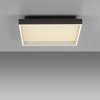 Paul Neuhaus Q-Serie Q-Magong Plafondlamp LED Zwart, 1-licht, Afstandsbediening