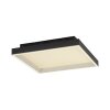 Paul Neuhaus Q-Serie Q-Magong Plafondlamp LED Zwart, 1-licht, Afstandsbediening