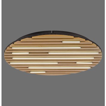 Paul Neuhaus Q-Serie Q-Akustik Wand- en plafondlamp LED Bruin, Zwart, 1-licht, Afstandsbediening