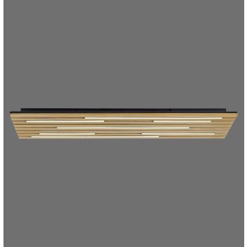 Paul Neuhaus Q-Serie Q-Akustik Wand- en plafondlamp LED Bruin, Zwart, 1-licht, Afstandsbediening