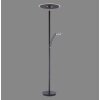Paul Neuhaus Verlichting Artur Staande lamp LED Antraciet, 2-lichts