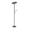 Paul Neuhaus Verlichting Artur Staande lamp LED Antraciet, 2-lichts