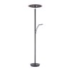 Paul Neuhaus Verlichting Artur Staande lamp LED Antraciet, 2-lichts