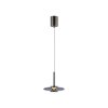 Paul Neuhaus Verlichting Vitrum Hanglamp LED Grijs, 2-lichts
