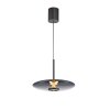 Paul Neuhaus Verlichting E-Vitrum Hanglamp LED Grijs, 2-lichts, Afstandsbediening