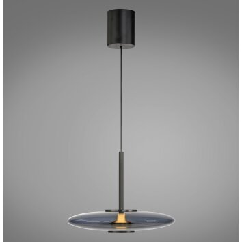 Paul Neuhaus Verlichting E-Vitrum Hanglamp LED Grijs, 2-lichts, Afstandsbediening