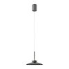 Paul Neuhaus Verlichting Moon Hanglamp LED Grijs, 2-lichts