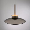 Paul Neuhaus Verlichting Moon Hanglamp LED Brons, 2-lichts