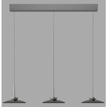 Paul Neuhaus Verlichting Moon Hanglamp LED Grijs, 6-lichts