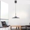 Paul Neuhaus Verlichting E-Moon Hanglamp LED Grijs, 2-lichts, Afstandsbediening