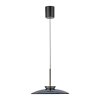 Paul Neuhaus Verlichting E-Moon Hanglamp LED Grijs, 2-lichts, Afstandsbediening