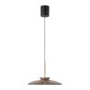 Paul Neuhaus Verlichting E-Moon Hanglamp LED Brons, 2-lichts, Afstandsbediening