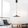 Paul Neuhaus Verlichting E-Moon Hanglamp LED Brons, 2-lichts, Afstandsbediening
