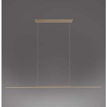 Paul Neuhaus Verlichting Surface Hanglamp LED Brons, 1-licht