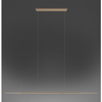 Paul Neuhaus Verlichting Surface Hanglamp LED Brons, 1-licht