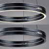 Paul Neuhaus Verlichting E-Loop Hanglamp LED Grijs, 2-lichts, Afstandsbediening