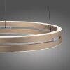 Paul Neuhaus Verlichting E-Loop Hanglamp LED Messing, 2-lichts, Afstandsbediening