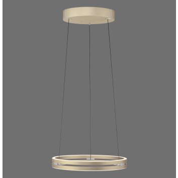 Paul Neuhaus Verlichting E-Loop Hanglamp LED Messing, 2-lichts, Afstandsbediening