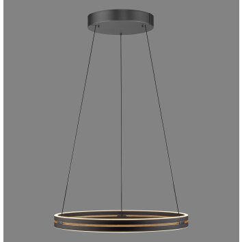 Paul Neuhaus Verlichting E-Loop Hanglamp LED Zwart, 2-lichts, Afstandsbediening