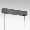 Paul Neuhaus Verlichting E-Popup Hanglamp LED Grijs, 18-lichts, Afstandsbediening
