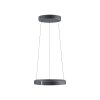 Paul Neuhaus Verlichting E-Clipse Hanglamp LED Grijs, 2-lichts, Afstandsbediening