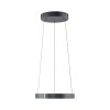 Paul Neuhaus Verlichting E-Clipse Hanglamp LED Grijs, 2-lichts, Afstandsbediening