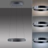 Paul Neuhaus Verlichting E-Clipse Hanglamp LED Grijs, 2-lichts, Afstandsbediening