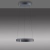 Paul Neuhaus Verlichting E-Clipse Hanglamp LED Grijs, 2-lichts, Afstandsbediening