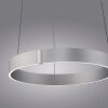 Paul Neuhaus Verlichting E-Clipse Hanglamp LED Zilver, 2-lichts, Afstandsbediening