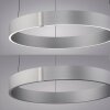 Paul Neuhaus Verlichting E-Clipse Hanglamp LED Zilver, 2-lichts, Afstandsbediening