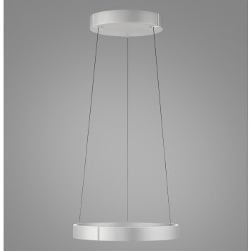 Paul Neuhaus Verlichting E-Clipse Hanglamp LED Zilver, 2-lichts, Afstandsbediening