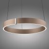Paul Neuhaus Verlichting E-Clipse Hanglamp LED Brons, 2-lichts, Afstandsbediening