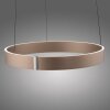 Paul Neuhaus Verlichting E-Clipse Hanglamp LED Brons, 2-lichts, Afstandsbediening