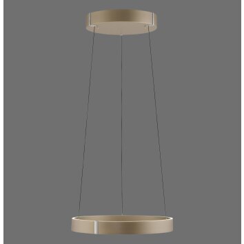 Paul Neuhaus Verlichting E-Clipse Hanglamp LED Brons, 2-lichts, Afstandsbediening