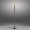 Paul Neuhaus Verlichting Vitrum Staande lamp LED Bruin, 2-lichts