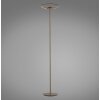 Paul Neuhaus Verlichting Moon Staande lamp LED Brons, 2-lichts